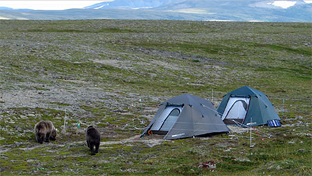 Portable electric fences can be effective for hunters and campers in bear country