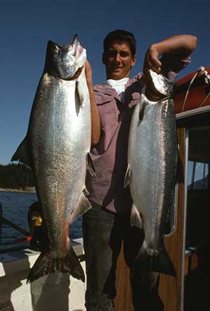 A chartercaught Chinook salmon on the left and a coho on the right