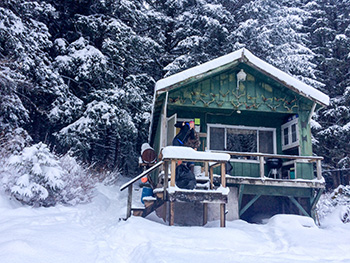 The early December snowstorm changed the landscape considerably