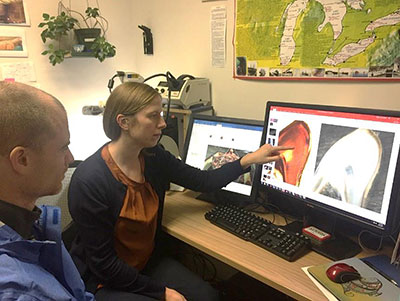 Image 2em Biologists examine banding pattern quality in stomach ossicle thin sections em