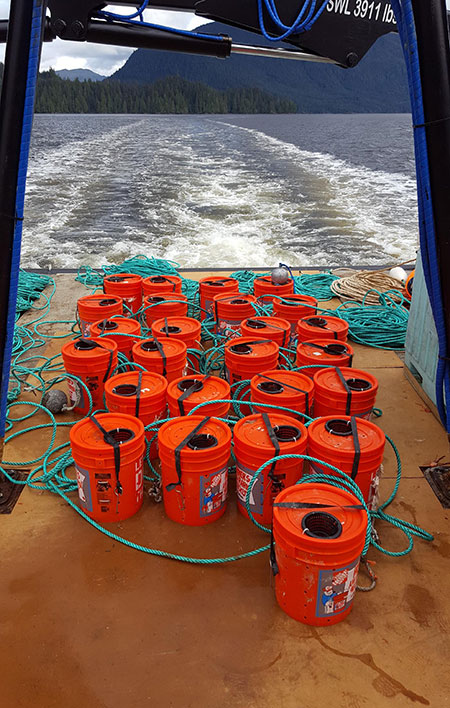 The ADFampG hagfish survey pots ready to be deployed The baited pots are strung together on a longline and dropped to soak A special quottunnelquot at the entrance lets the hagfish enter the pot but not exit Photo courtesy Aaron Baldwin