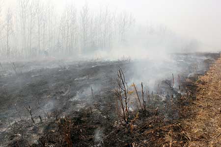 The aftermath of the prescribed burn Tim Mowry photo