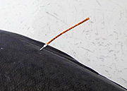 A uniquely numbered tag up close