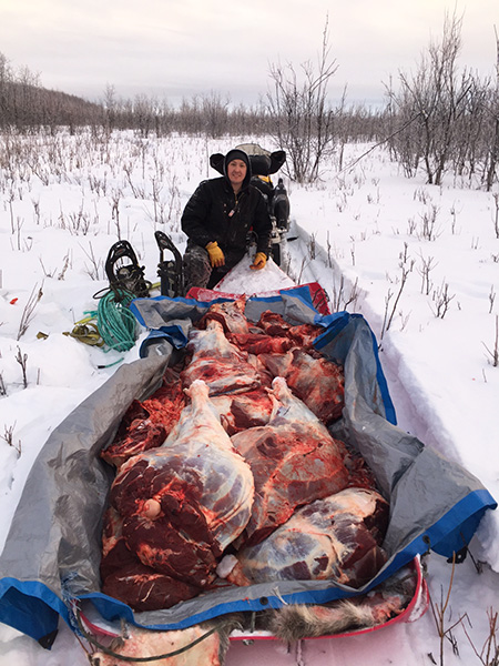 Sam with two moose loaded on a sled Photo by Patrick Jones