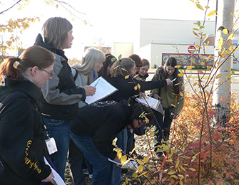 Teachers engaged in a Fish and Game sponsored workshop