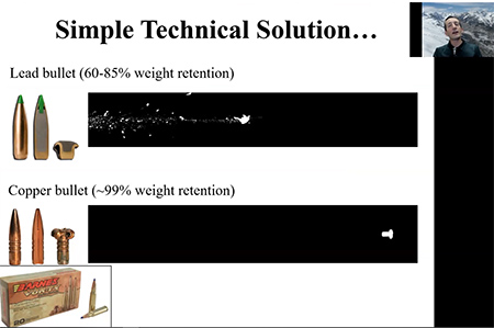 This photo show the shot track of lead and copper bullets Ballistics gelatin closely simulates the density and viscosity of animal muscle tissue and provides insights into how bullets mushroom and fragment as they penetrate The white specks in the top image are lead fragments
