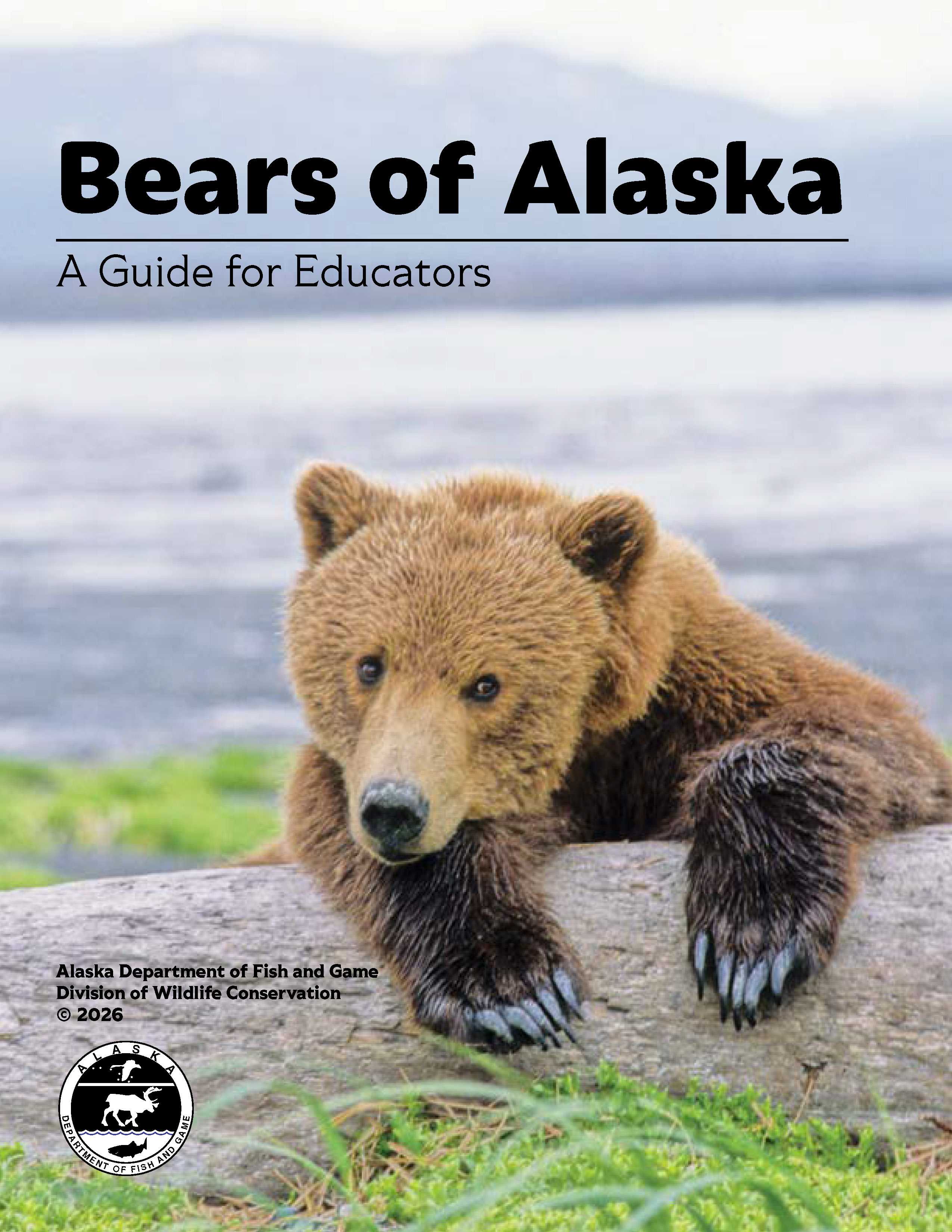 Bears of Alaska