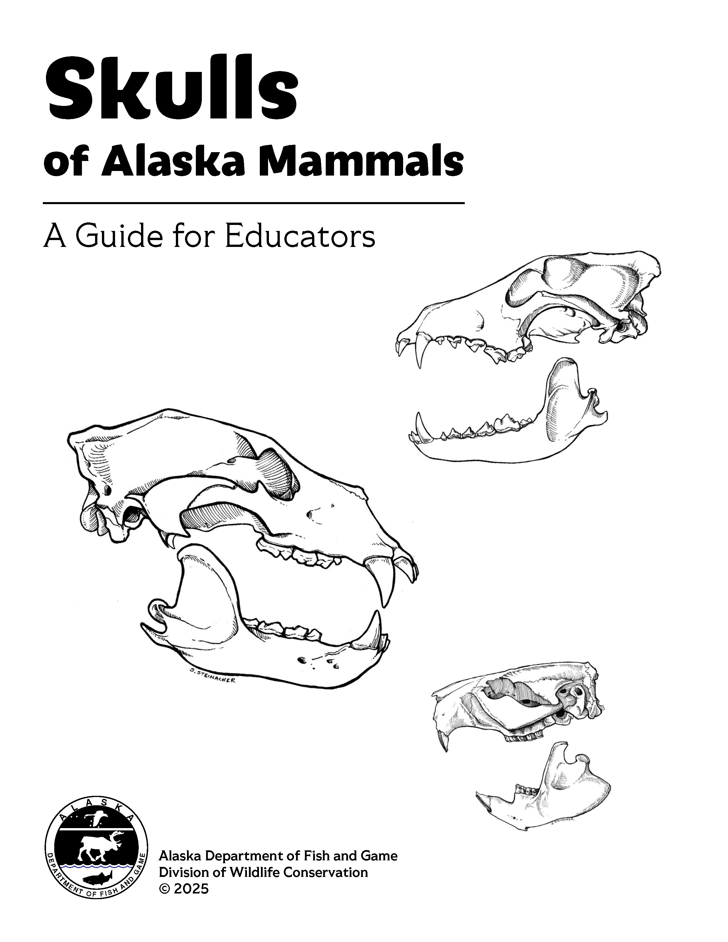 Skulls of Alaskan Mammals