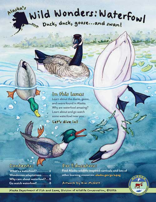 Waterfowl