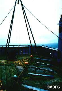 Grappling device used during the study