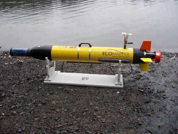 The AUV
