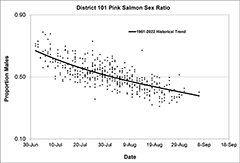 Figure 9. &mdash; Example of changing pink salmon sex ratios through the fishing season for District 101.