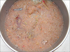 Figure 10. &mdash; Zooplankton sample.