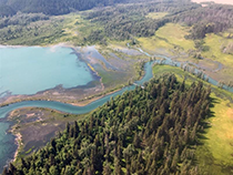 Figure 3. &mdash; An aerial view of Chilkat Lake.