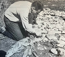 Figure 3. &mdash; Biologist sampling Chinook salmon.