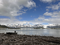 Figure 4. &mdash; Set gillnet site at the outlet of Alsek Lake.