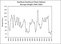 Figure 4. &mdash; Average weight of chum salmon harvested in southern Southeast Alaska commercial purse seine fisheries.
