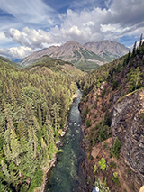 Figure 4. &mdash; Chinook salmon aerial survey.