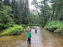 Figure 4. &mdash; ADF&G field staff survey.