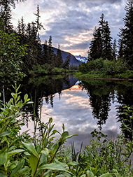 Figure 5. &mdash; A nice evening reflection at the Berners River spring camp.