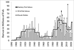 Figure 5. &mdash; Annual harvest of wild and hatchery-produced pink salmon in Southeast Alaska.