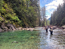 Figure 6. &mdash; ADF&G field staff attempting to capture Chinook salmon.