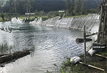 Figure 6. &mdash; View of the Chilkat Lake weir depicting the boat gate, DIDSON unit, weir stringers, bipods, and pickets