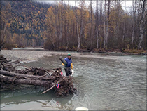 Figure 6. &mdash; Minnow trapping.