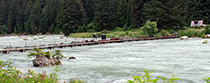 Figure 6. &mdash; Looking upriver at the Chilkoot Lake weir.