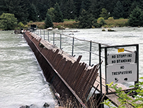 Figure 7. &mdash; A view of the upstream side of the Chilkoot Lake weir.