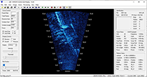 Figure 8. &mdash; The Chilkat Lake weir DIDSON sonar image.