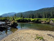 Figure 8. &mdash; ADF&G crew using a logjam to get an aerial view of adult Chinook salmon.