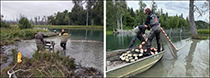 Figure 9. &mdash; Crew working during beach seine.