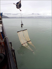 Figure 9. &mdash; Deploying the bongo net in Icy Strait.
