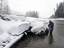 Figure 9. &mdash; Spring minnow trapping.