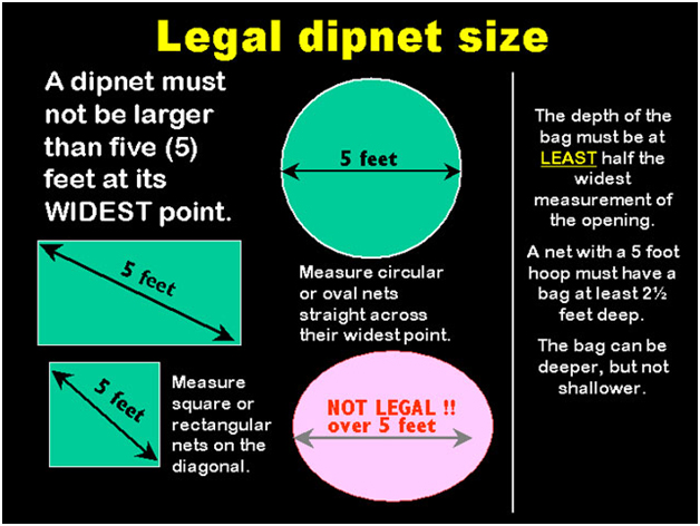 Illustration of legal dipnet sizes.
