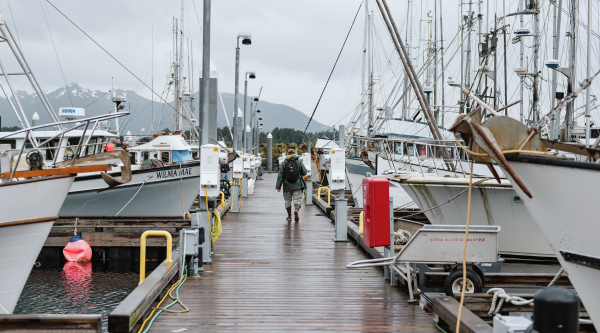 Learn about guided sport fishing, charter registration, and eLogbooks