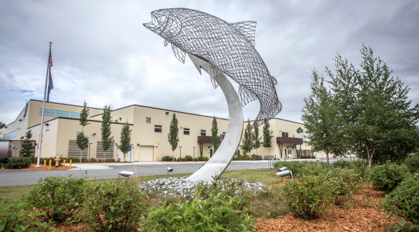Learn about Alaska Sport Fish hatcheries and hatchery tours
