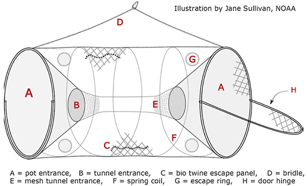 Illustration of a groundfish pot