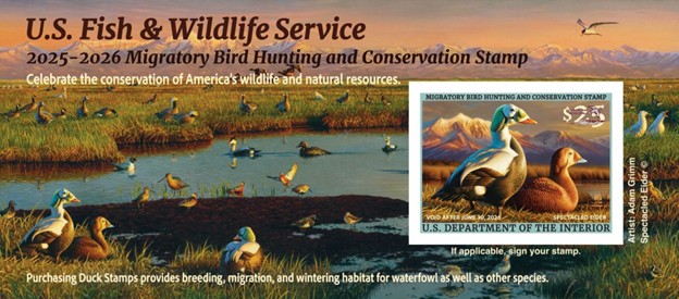 Federal Migratory Bird Hunting Stamp