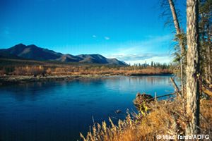 Alaska interior river system.