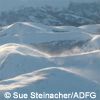 wind on the tundra
