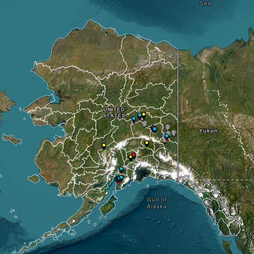 Interactive Map
