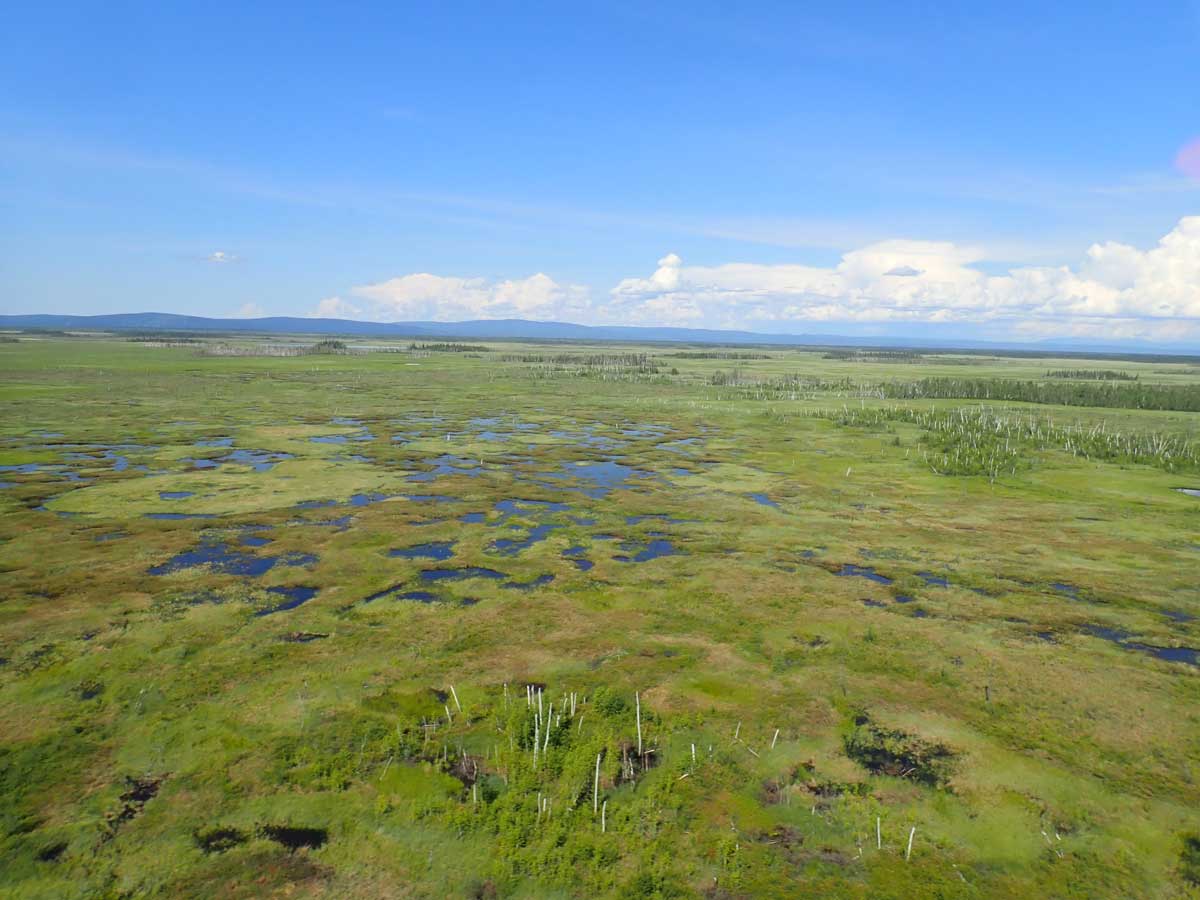 2024 Aerial view of Minto Flats State Game Refuge - Alaska Department of Fish and Game (ADFG)