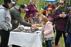 Group of people at previous Discovery Day event