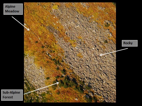 Figure 3a How many mountain goats