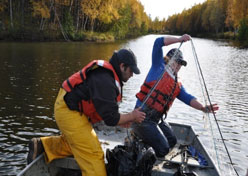 People hauling a net for northern pike