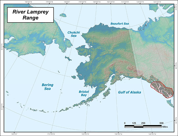 Range map of Western River Lamprey in Alaska