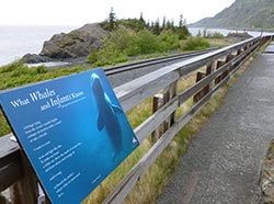 Display at Beluga Point