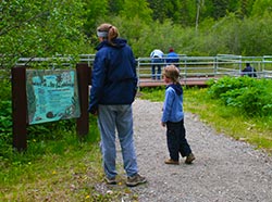 Susitna Flats viewing location